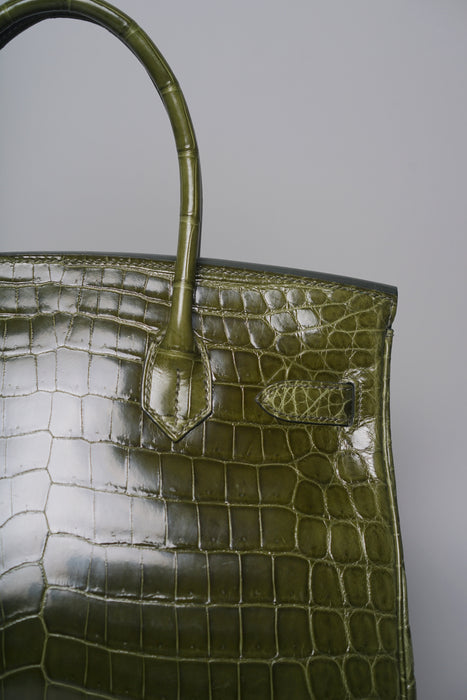 Hermes Birkin 30 in Canopee Shiny Niloticus Phw