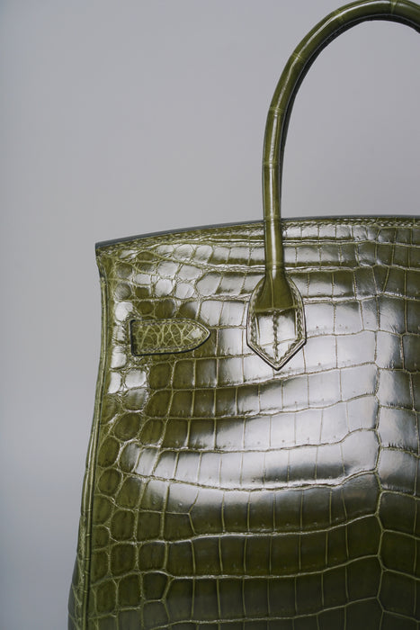 Hermes Birkin 30 in Canopee Shiny Niloticus Phw