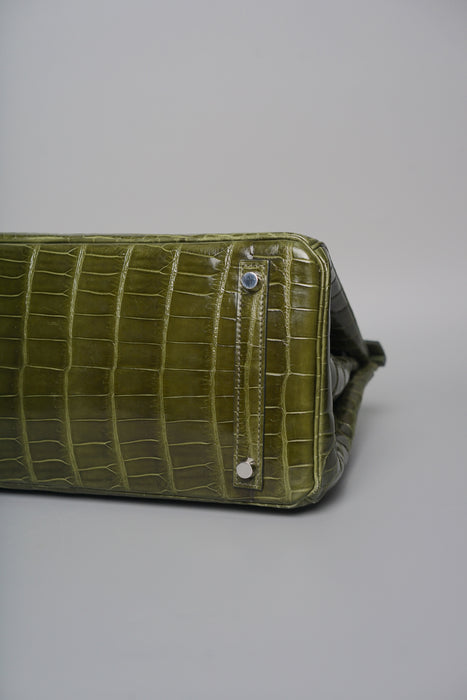 Hermes Birkin 30 in Canopee Shiny Niloticus Phw