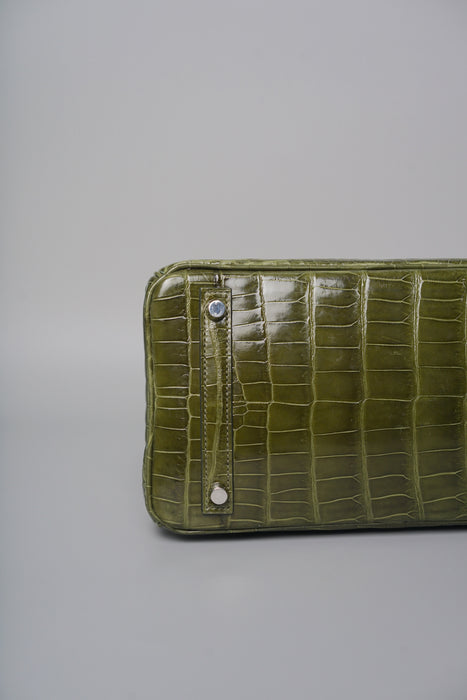 Hermes Birkin 30 in Canopee Shiny Niloticus Phw