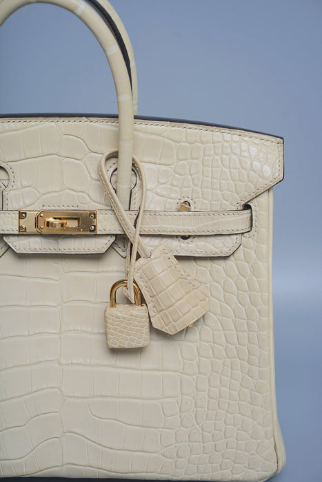 Hermes Birkin 25 in Trench Matte Alligator Ghw