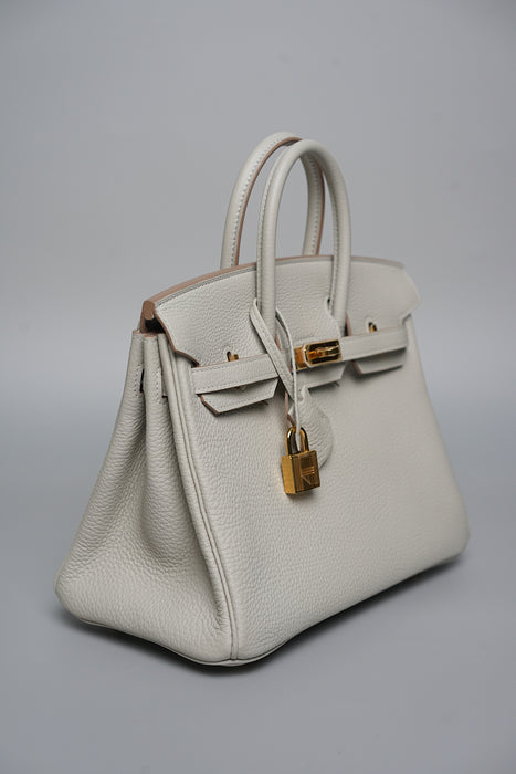 Hermes Birkin 25 in Gris Perle Togo Ghw (Brand New)