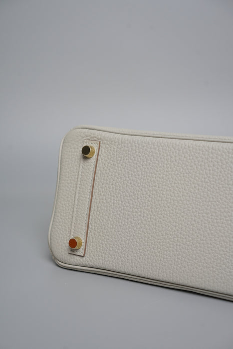 Hermes Birkin 25 in Gris Perle Togo Ghw (Brand New)