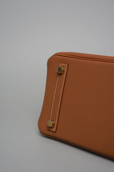 Hermes Birkin 25 in Gold Togo Ghw (Kept Unused)