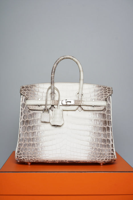 Hermes Birkin 25 in Himalayan Phw