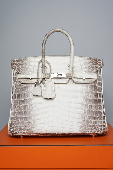 Hermes Birkin 25 in Himalayan Phw