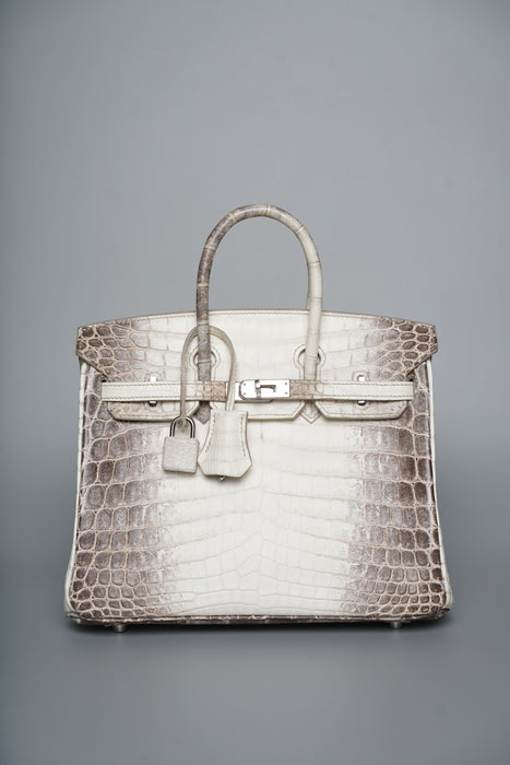 Hermes Birkin 25 in Himalayan Phw