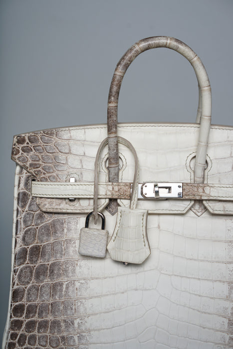 Hermes Birkin 25 in Himalayan Phw