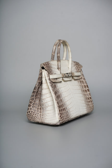 Hermes Birkin 25 in Himalayan Phw