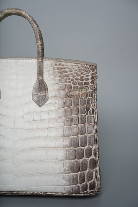 Hermes Birkin 25 in Himalayan Phw