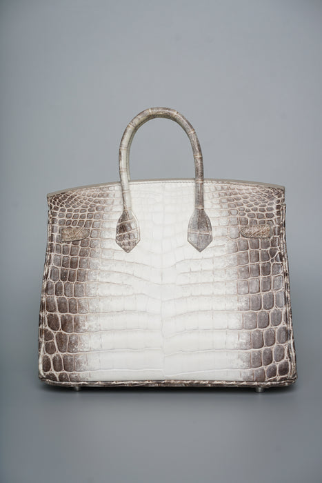 Hermes Birkin 25 in Himalayan Phw