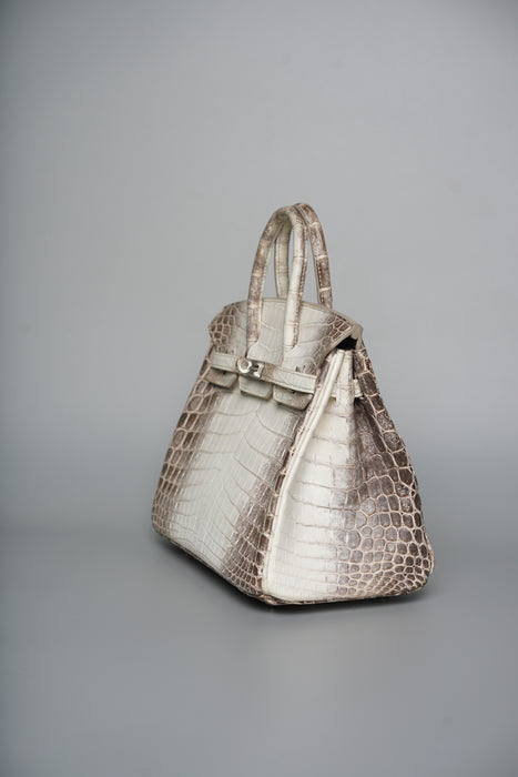 Hermes Birkin 25 in Himalayan Phw