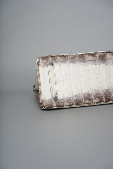 Hermes Birkin 25 in Himalayan Phw