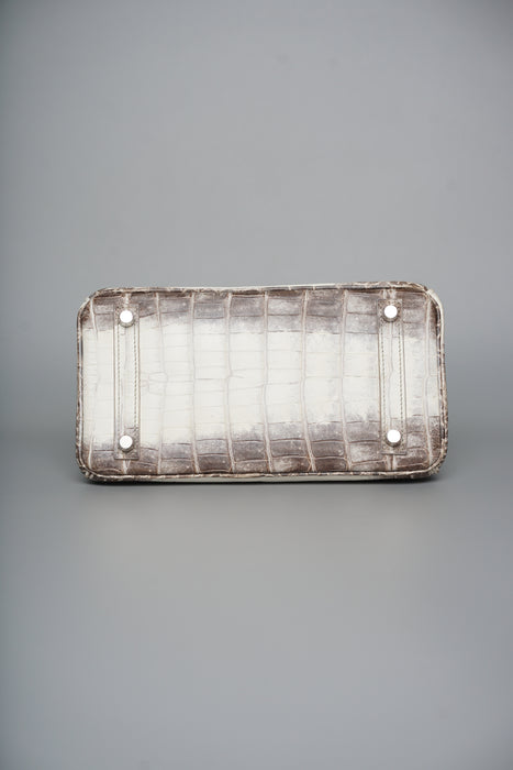 Hermes Birkin 25 in Himalayan Phw