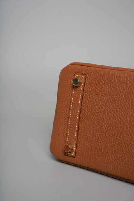 Hermes Birkin 25 in Gold Togo Ghw (Brand New)