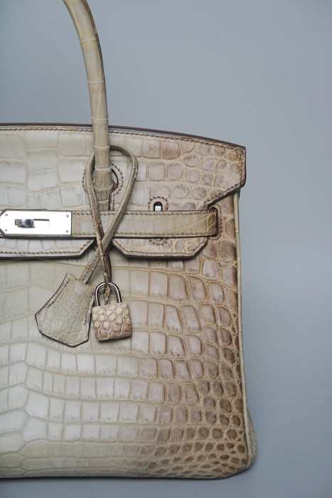 Hermes Birkin 25 in Himalaya Blanc Phw (Brand new)