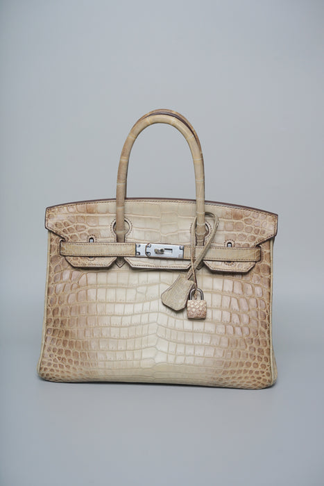 Hermes Birkin 25 in Himalaya Blanc Phw (Brand new)