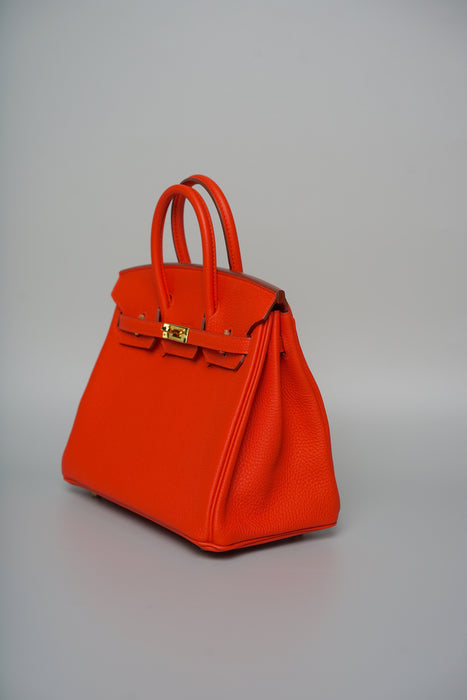 Hermes Birkin 25 in Feu Togo Ghw