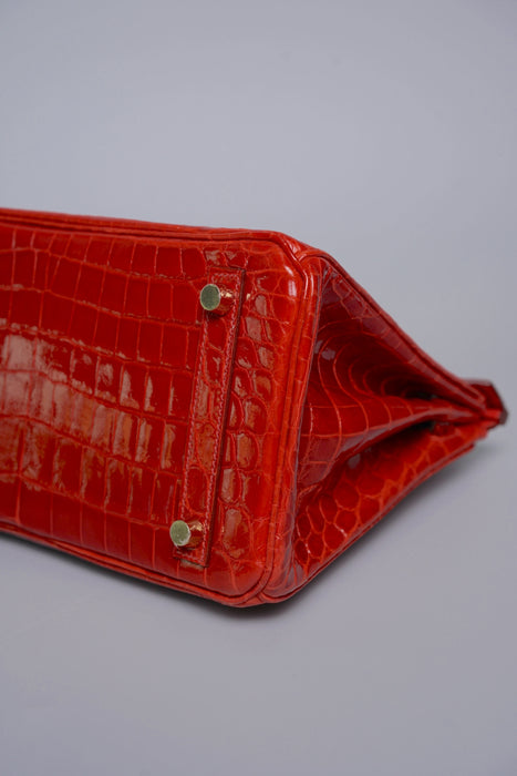 Hermes Birkin 25 in Sanguine Shiny Nilo Ghw