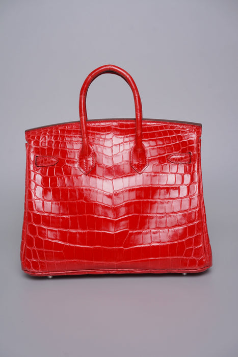 Hermes Birkin 25 in Bougainville Shiny Nilo Phw