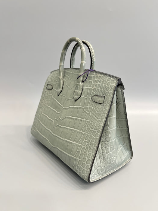 Hermes Birkin 20 in Gris Ciment Matte Alligator Ghw