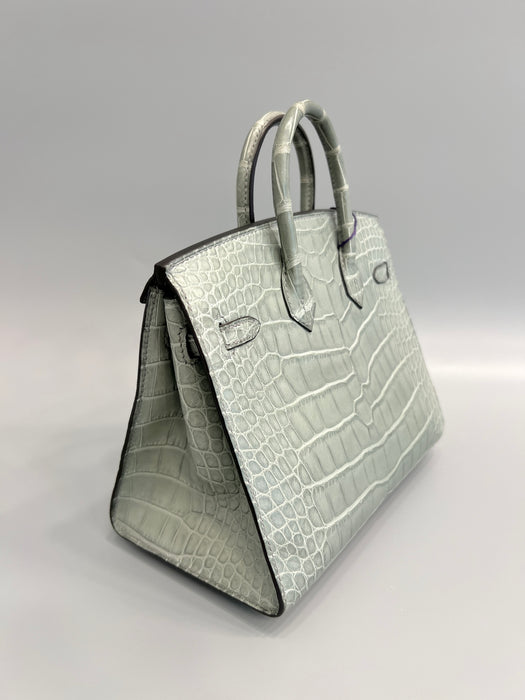 Hermes Birkin 20 in Gris Ciment Matte Alligator Ghw