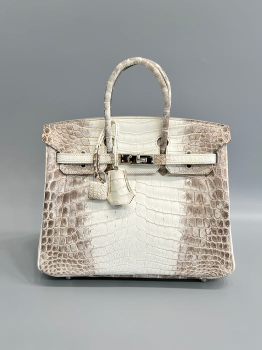 Hermes Birkin 25 in Himalayan Phw