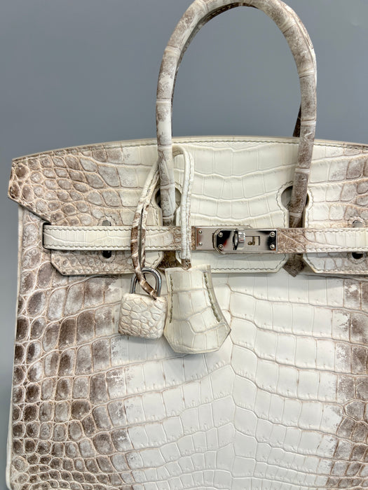 Hermes Birkin 25 in Himalayan Phw