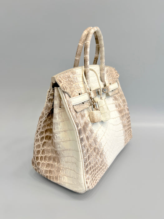 Hermes Birkin 25 in Himalayan Phw