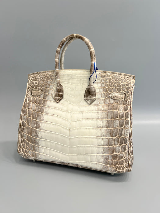 Hermes Birkin 25 in Himalayan Phw