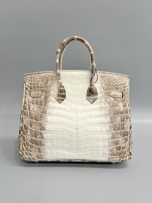 Hermes Birkin 25 in Himalayan Phw