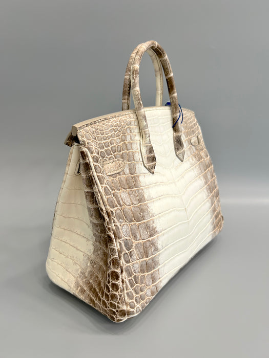 Hermes Birkin 25 in Himalayan Phw