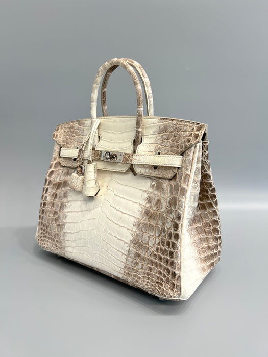 Hermes Birkin 25 in Himalayan Phw