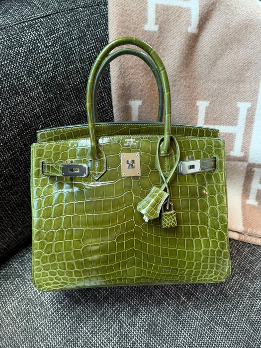 Hermes Birkin 30 in Canopee Shiny Niloticus Phw