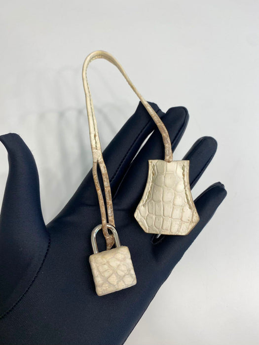 Hermes Birkin 30 in Himalayan Phw