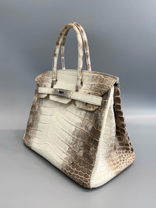 Hermes Birkin 30 in Himalayan Phw