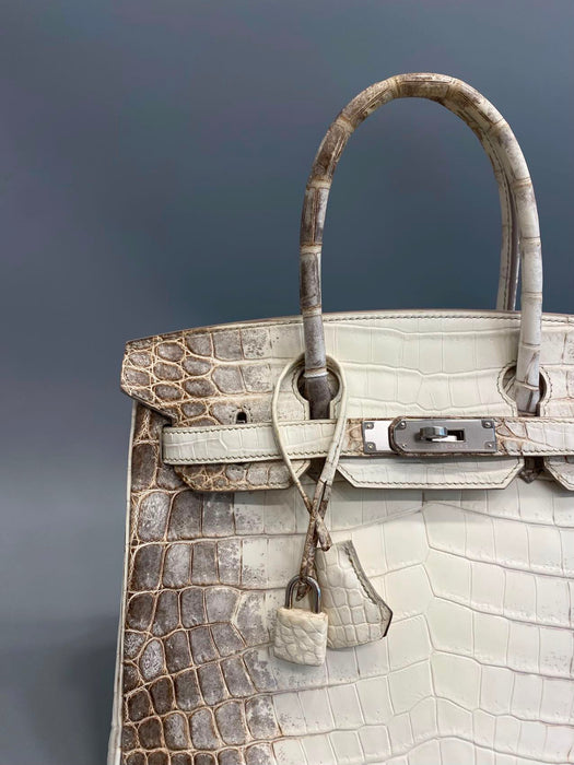 Hermes Birkin 30 in Himalayan Phw