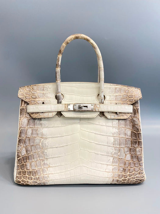 Hermes Birkin 30 in Himalayan Phw