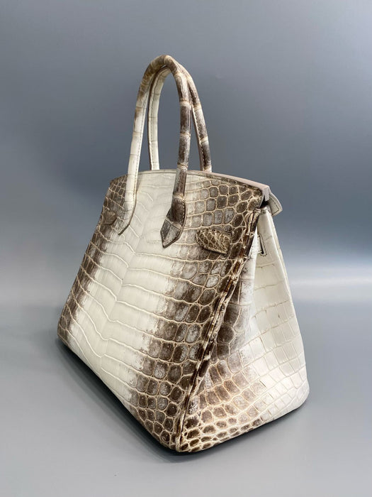 Hermes Birkin 30 in Himalayan Phw