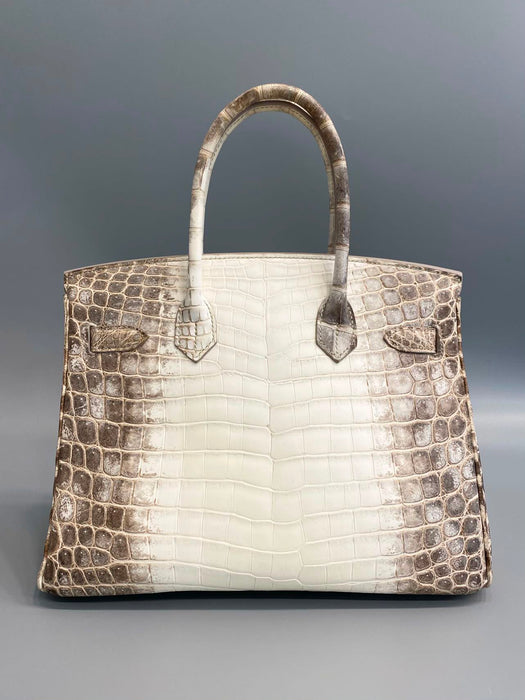 Hermes Birkin 30 in Himalayan Phw