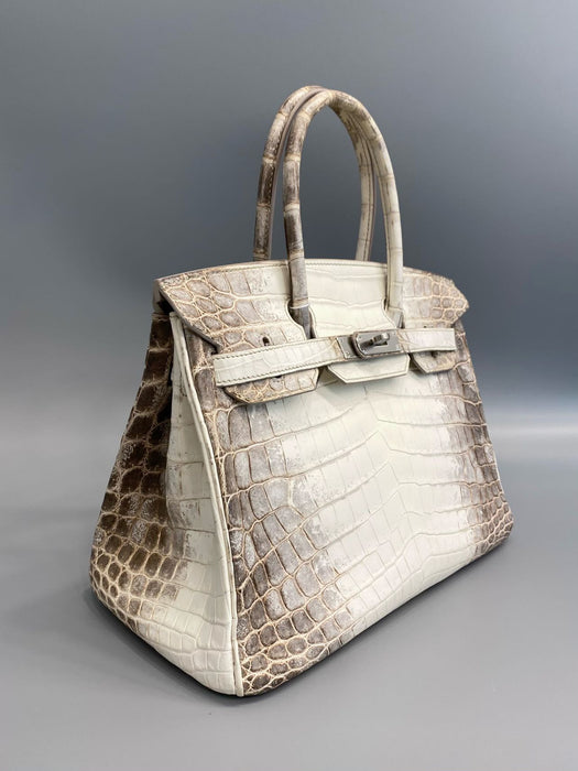 Hermes Birkin 30 in Himalayan Phw