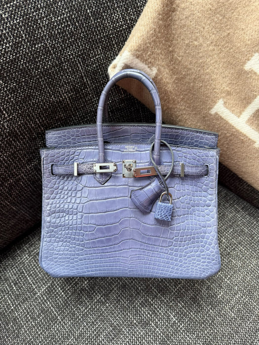 Hermes Birkin 25 in Brighton Matte Alligator Phw