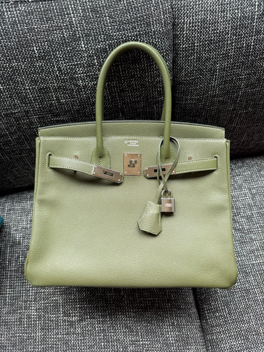 Hermes Birkin 30 in Canopee Phw