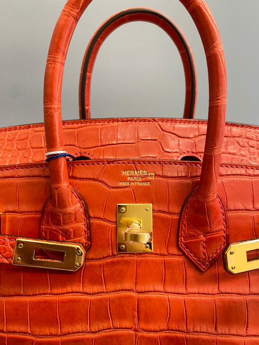 Hermes Birkin 25 in Bougainvillea Matte Alligator Ghw