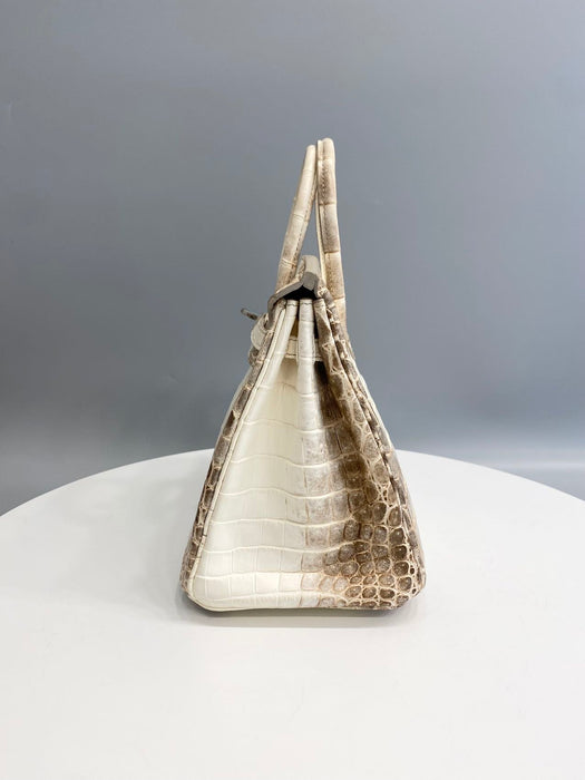 Hermes Birkin 25 in Himalaya Blanc Niloticus Phw