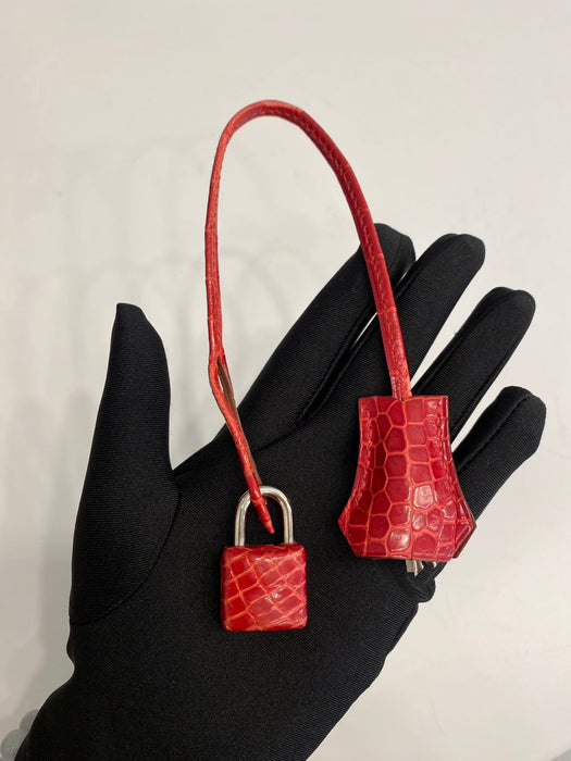 Hermes Birkin 35 in Braise Shiny Porosus Phw