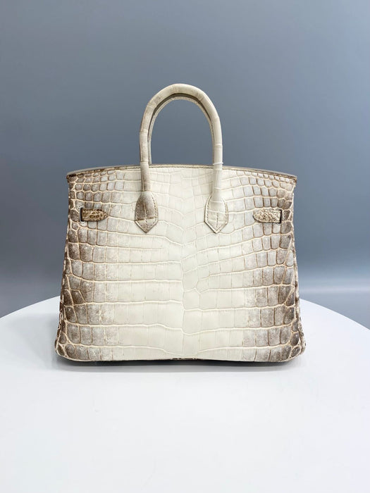 Hermes Birkin 25 in Himalaya Blanc Niloticus Phw