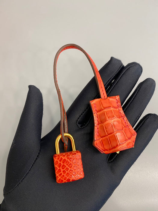 Hermes Birkin 25 in Bougainvillea Matte Alligator Ghw