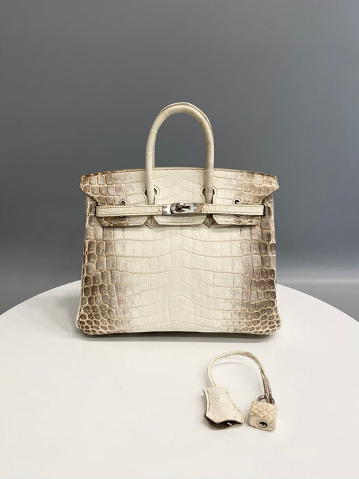 Hermes Birkin 25 in Himalaya Blanc Niloticus Phw