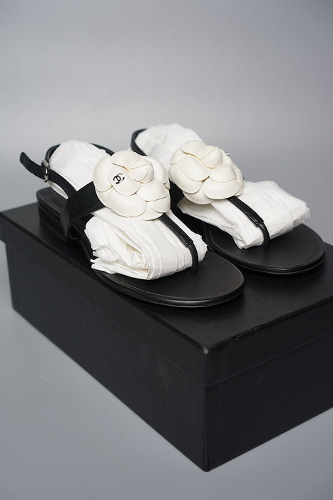 Chanel Camellia Sandals in Size 35.5 (Brand New)